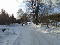 DSC00355
