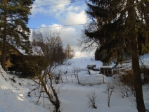 DSC00360