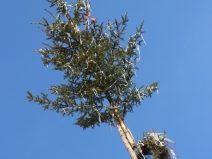 20180120040613_IMG_1105