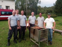 69592296_423532818265517_3593609349995429888_n[1]