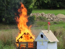 20180420063508_IMG_3901