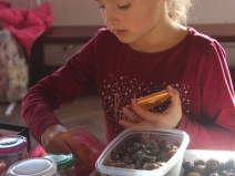 20180618044243_IMG_6059